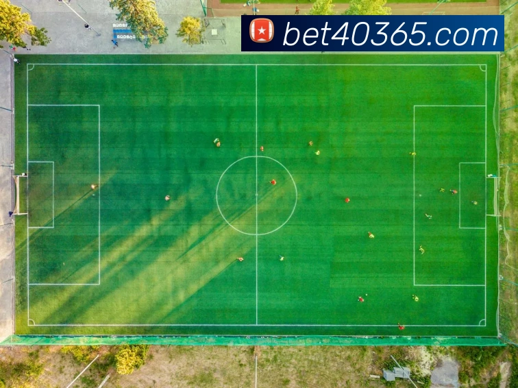 bet365com平台生态图